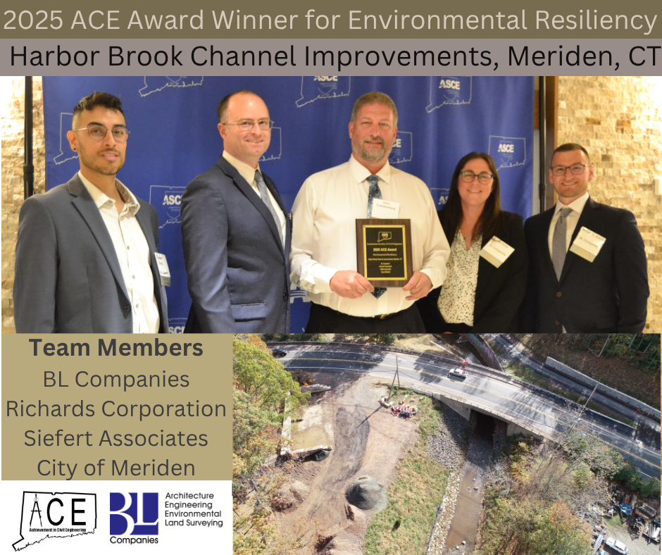 2025 ACE Award for Environmental Resiliency